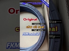 Hochdruck-Verschleißfeste Wellendichtungen für Hydraulikpumpen